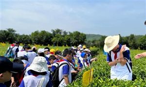 2023我国电线电缆产业发展增长态势(图3)